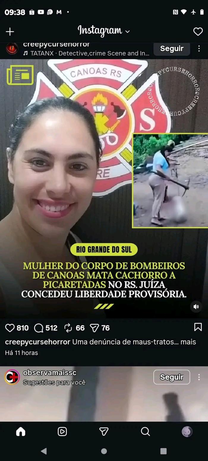 Assassina do cão branquinho é solta