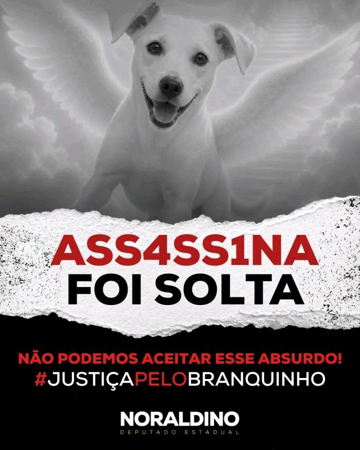 Justiça por branquinho