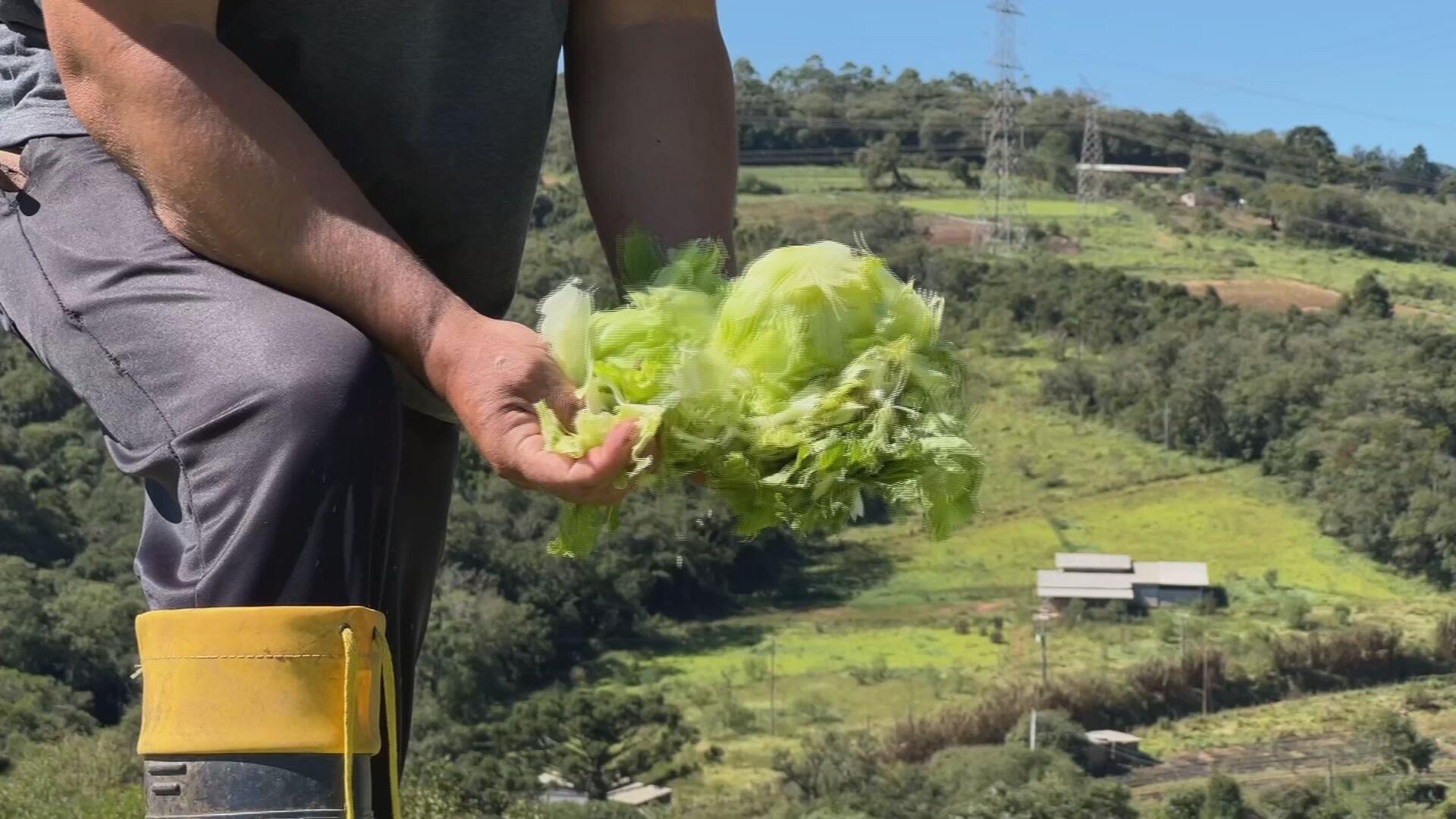 Temporal causa prejuízos na zona rural de Piedade; produtores perdem toneladas de alimentos