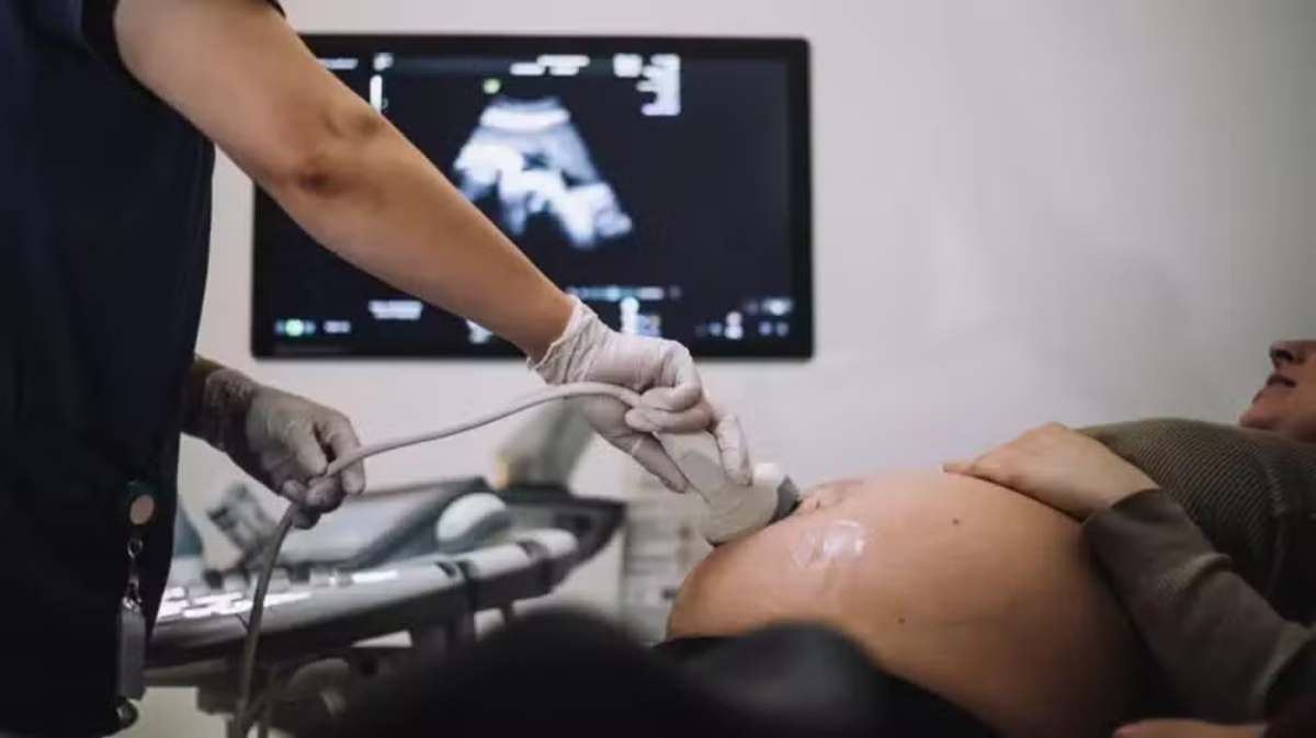 Superfecundação heteropaternal: entenda a condição que levou mulher a ter filhos de pais diferentes ao mesmo tempo