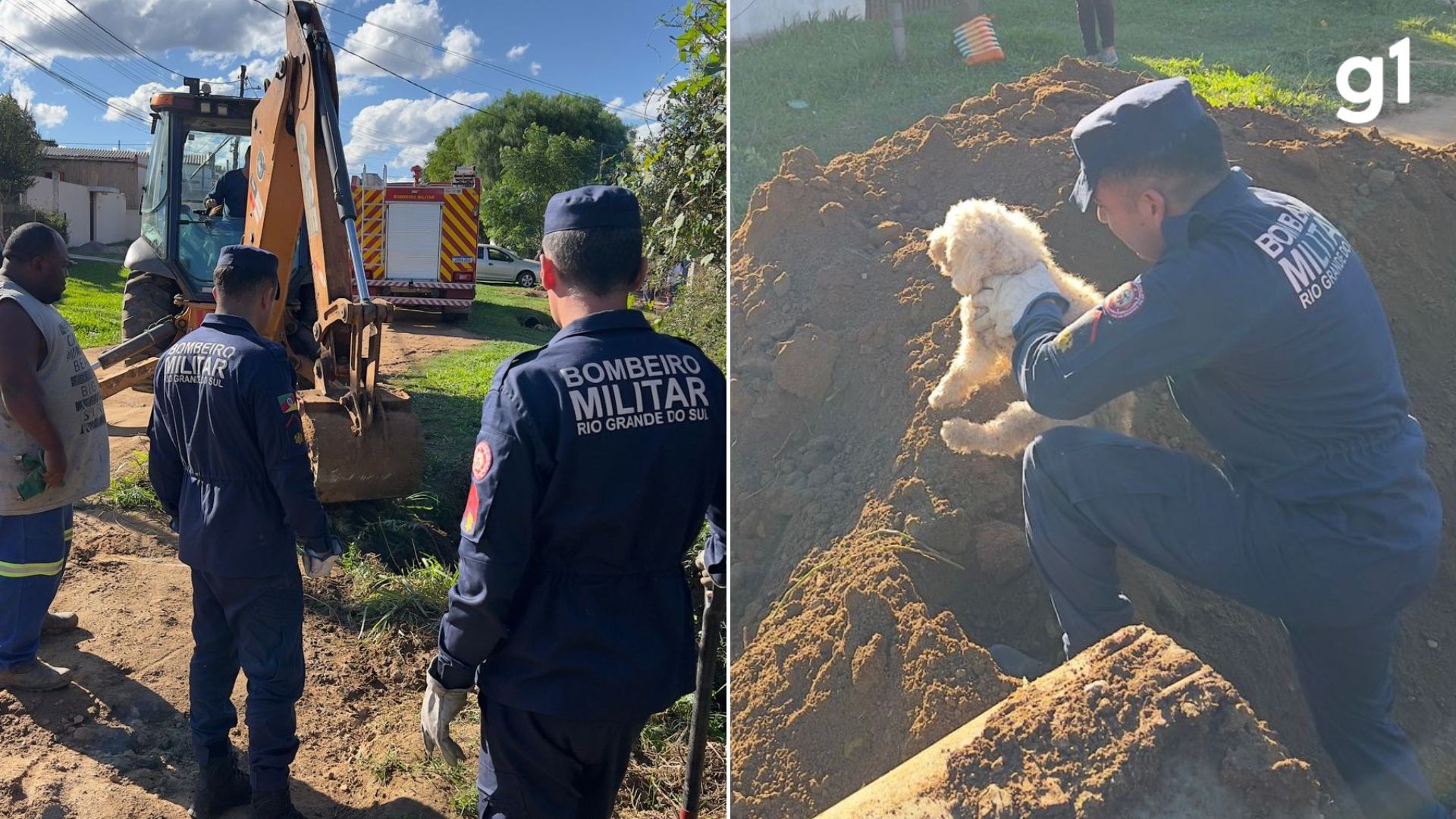 VÍDEO: Poodle é resgatado após ficar preso em tubulação de esgoto no RS