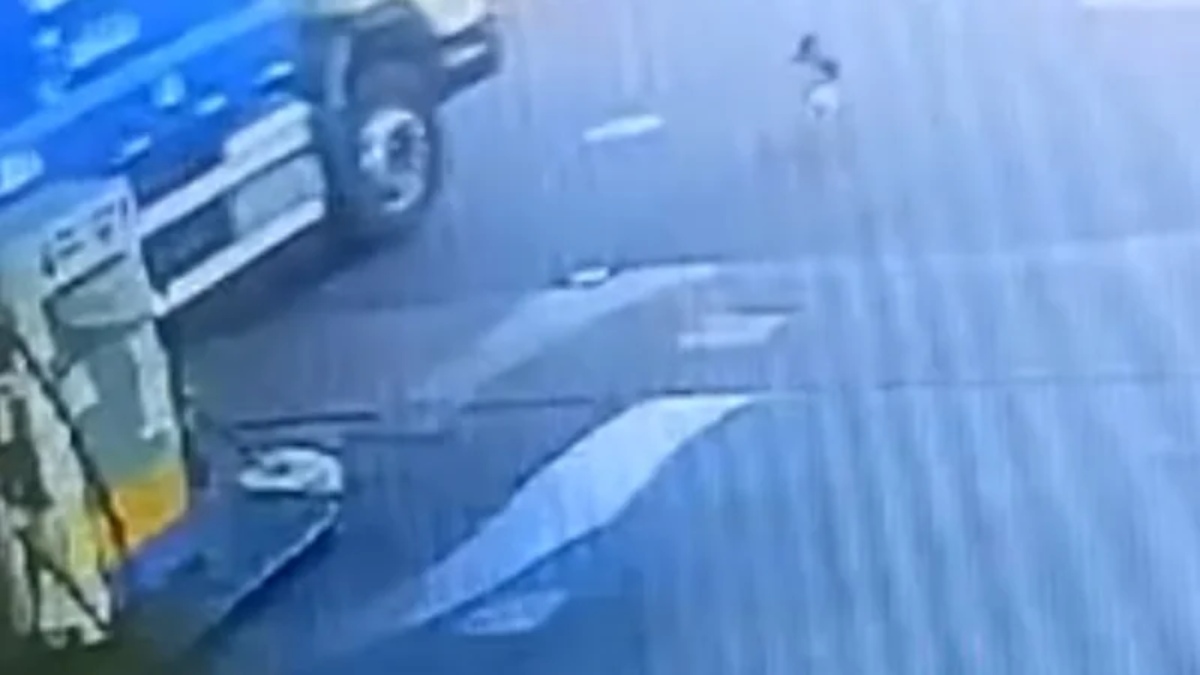 “Nós agimos imediatamente”, afirma prefeito após cachorro ser atropelado e morto por motorista de caminhão de lixo em Canoas