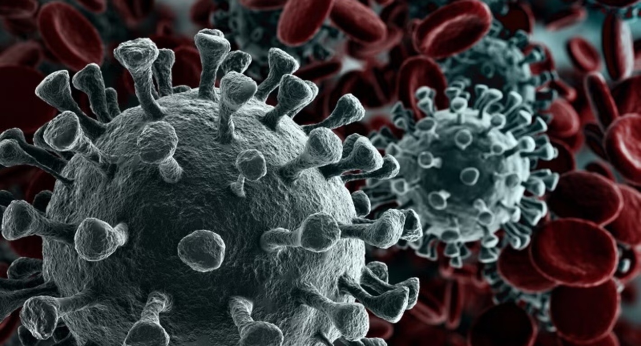 OMS esclarece alerta sobre ebola e descarta nova pandemia neste momento
