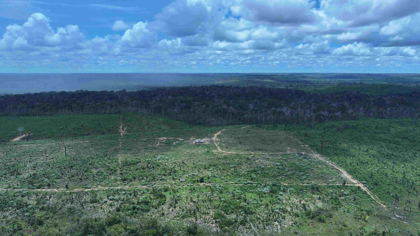 Projetos aprovados na Câmara que fragilizam proteção e fiscalização ambiental ainda precisam passar pelo Senado