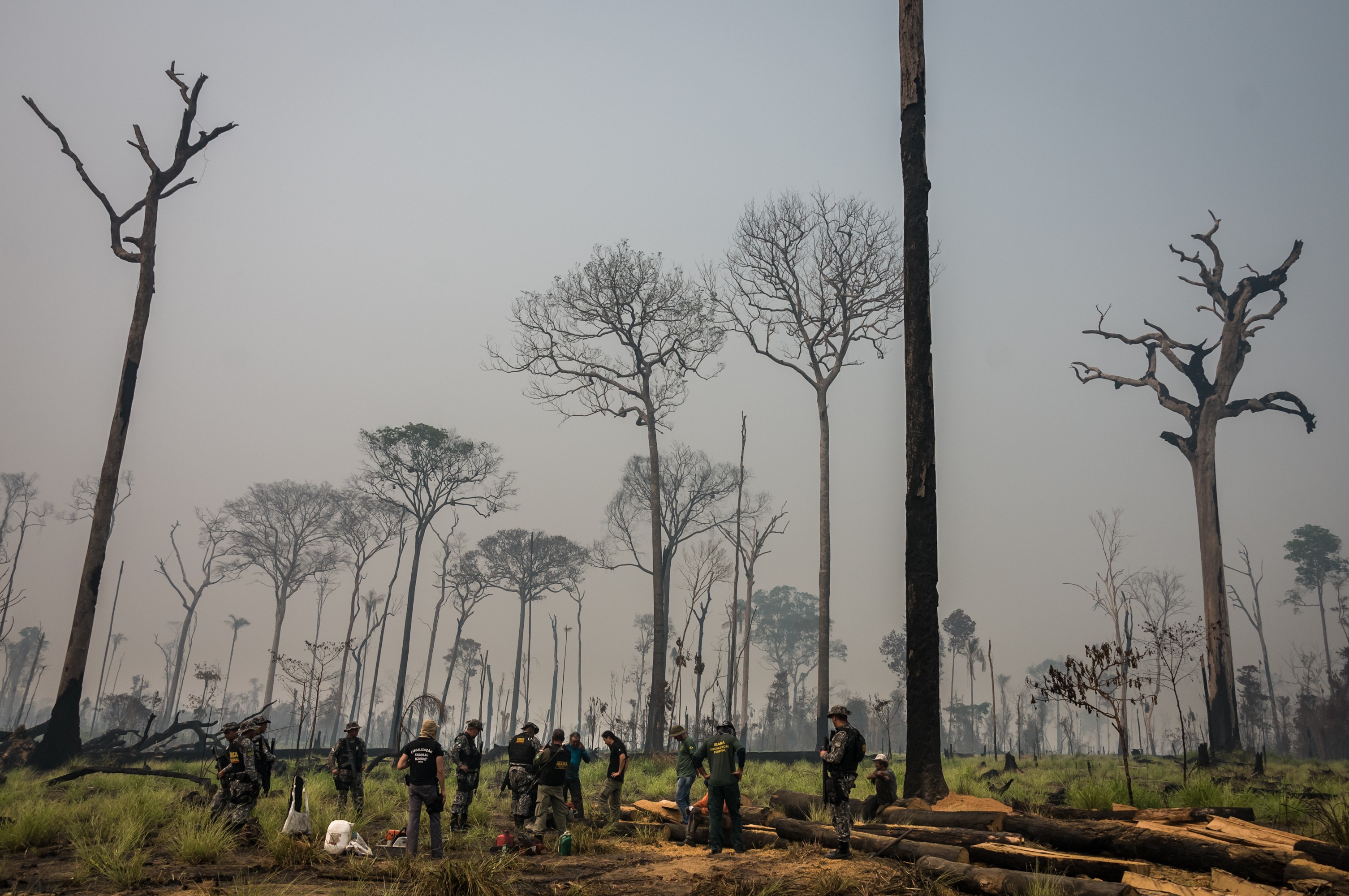 Entenda o projeto que reduz em quase 40% a Floresta Nacional do Jamanxim, criada para proteger áreas perto da BR-163