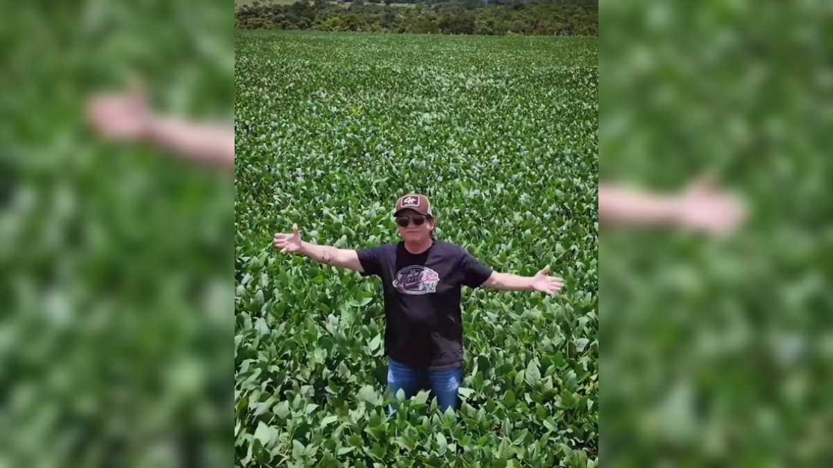 Aos 72 anos, Chitãozinho surpreende ao ampliar negócios no campo e apostar na soja em fazenda de 990 hectares com 10 mil cabeças de gado