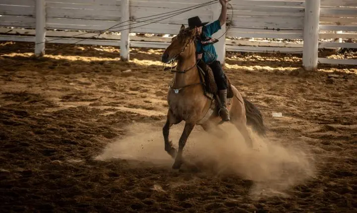 32ª Semana Farroupilha de Canoas inicia programação de rodeio nesta sexta-feira
