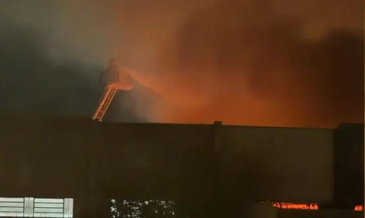 Incêndio de grandes proporções atinge indústria gráfica em Porto Alegre; cão preso no prédio é salvo