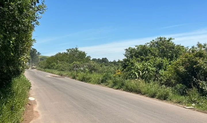 Menino de 5 anos é encontrado sozinho chorando e com ferimentos em área de mata e polícia do RS investiga o que aconteceu